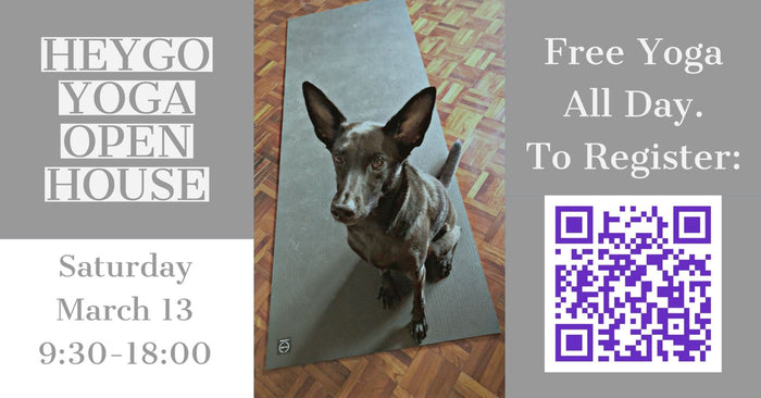 Open House | Sean Gale @ Heygo Yoga